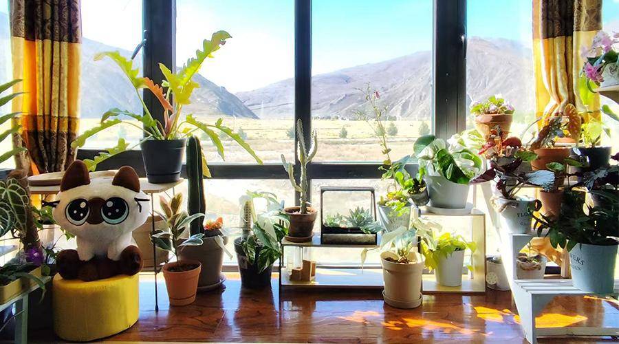 破壁者拼多多千亿扶持流向何方?